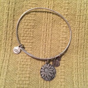 Alex & Ani Bangle ~ Cousin Silver